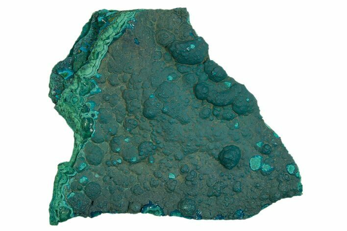 Teal Botryoidal Chrysocolla and Malachite - Chile #310142